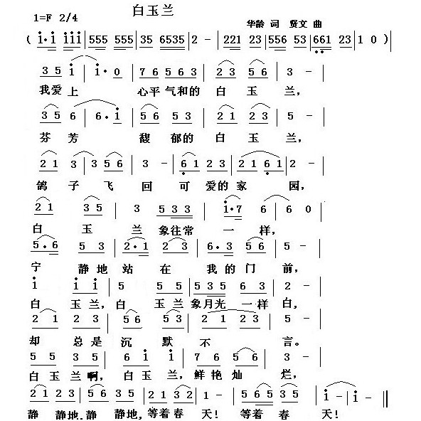 白玉兰