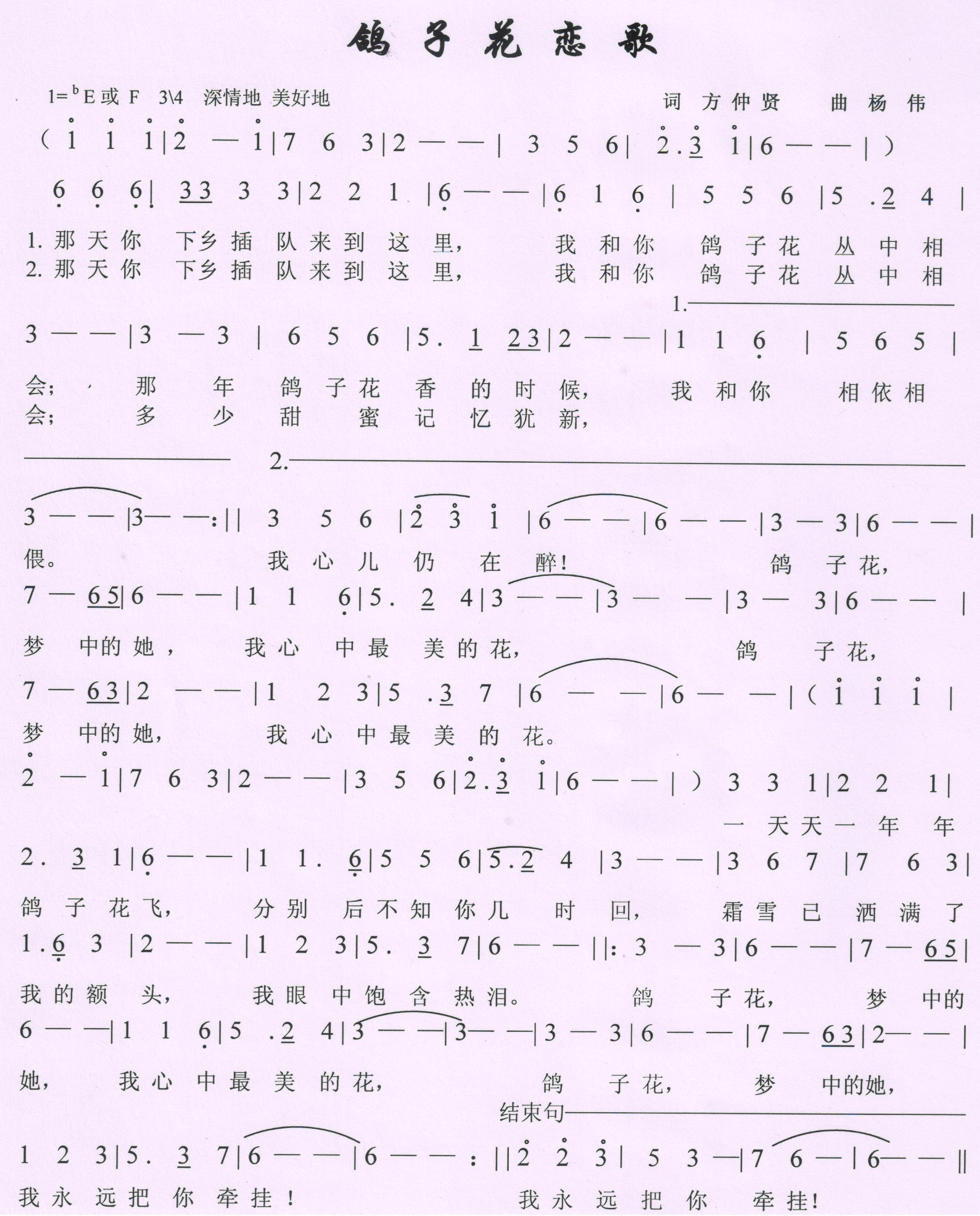 鸽子花恋歌