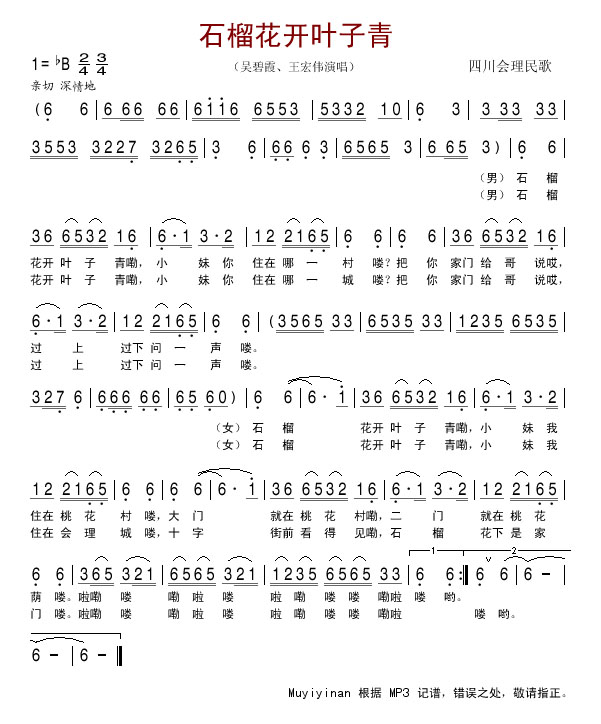 石榴花开叶子青（吴碧霞、王宏伟演唱版）