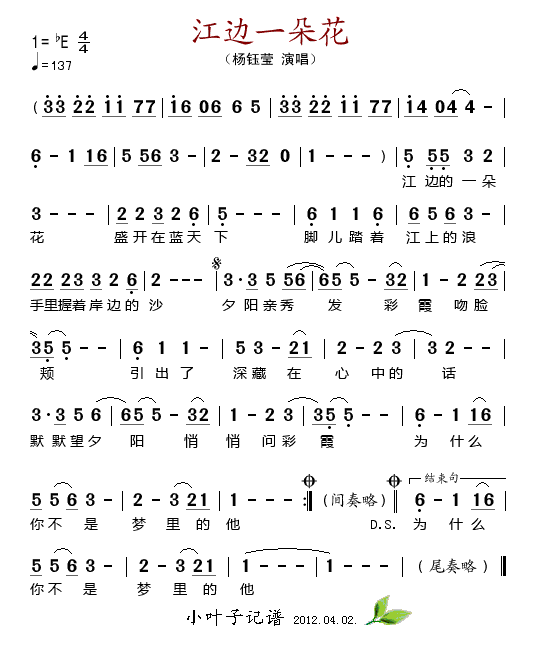 江边一朵花