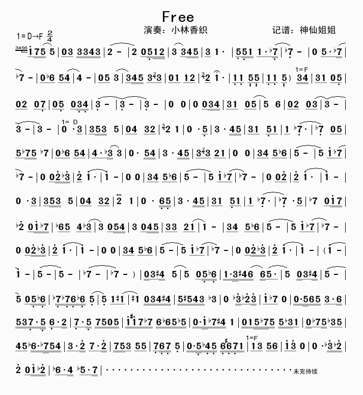 FREE  长笛演奏   未完待续