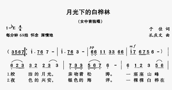 月光下的白桦林