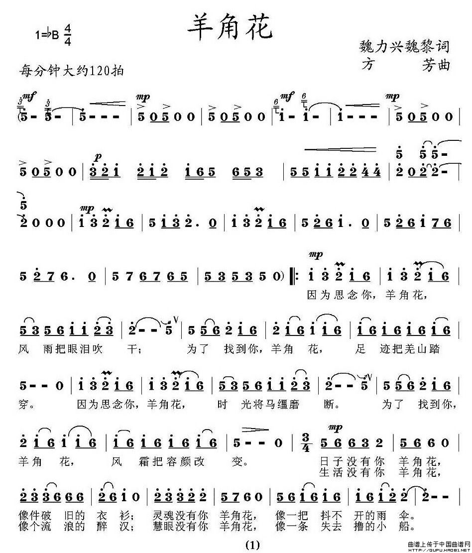 羊角花