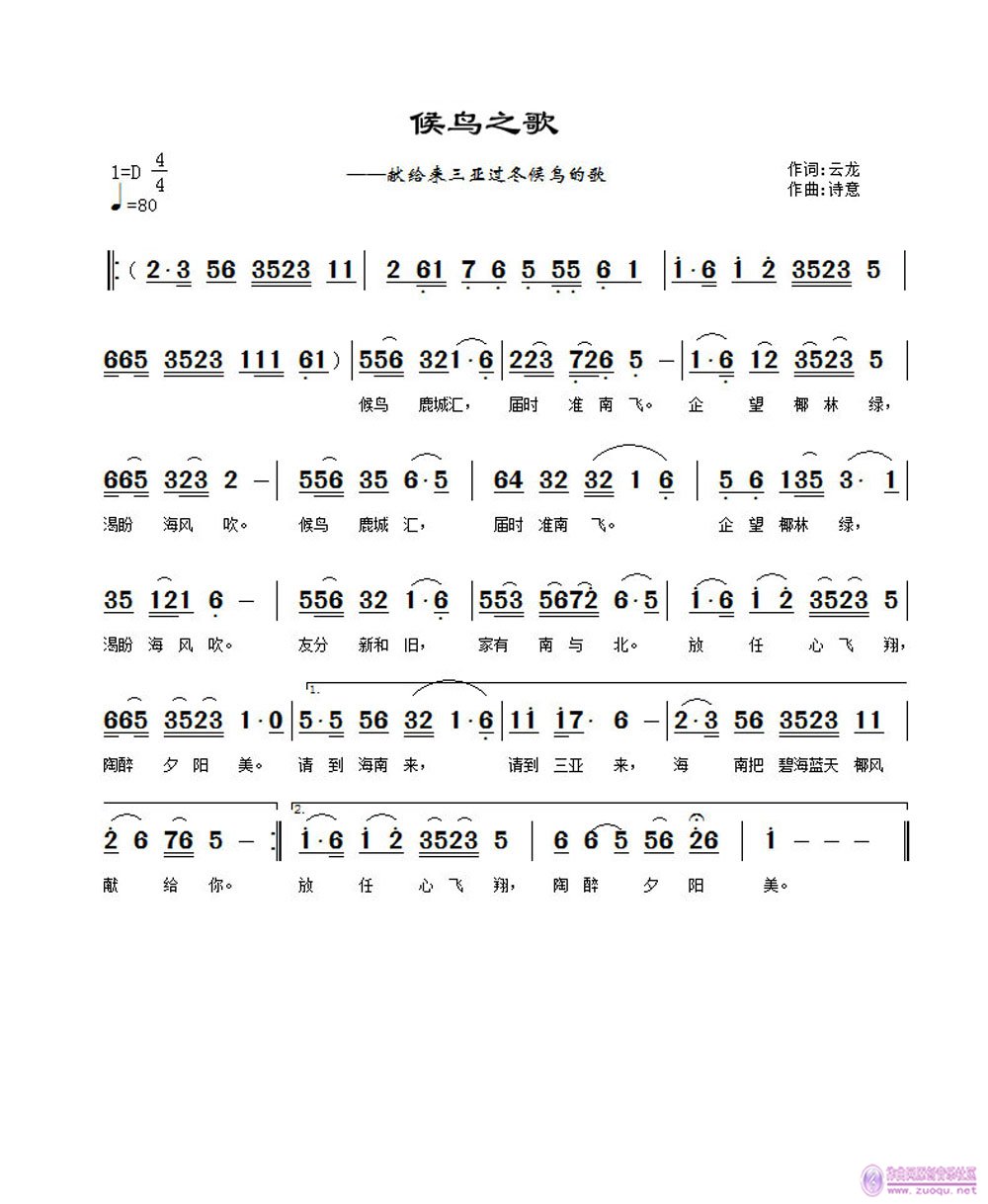 候鸟之歌