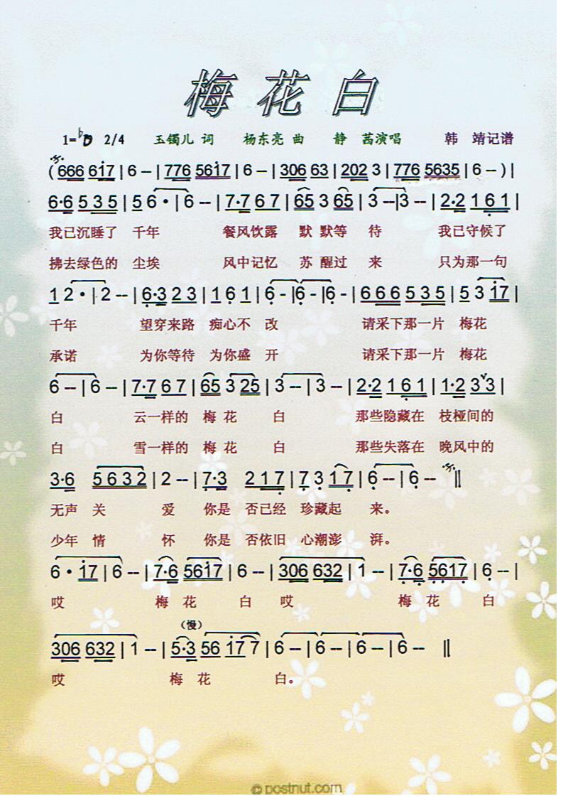 梅花白【彩谱】