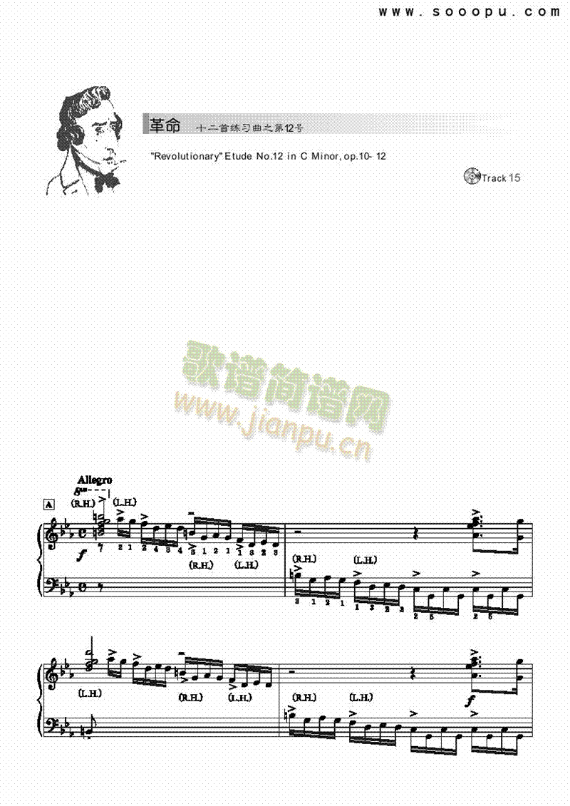 革命-简易版 