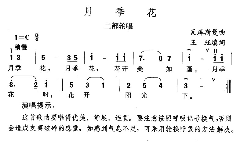 月季花