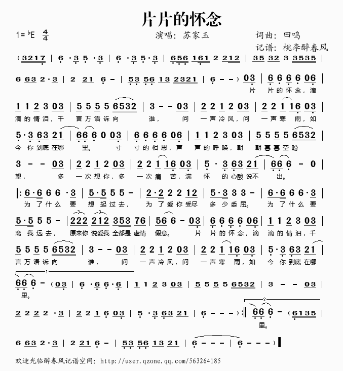 片片的怀念