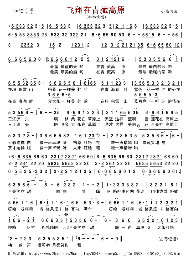 飞翔在青藏高原