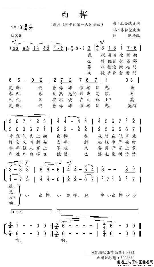 白桦