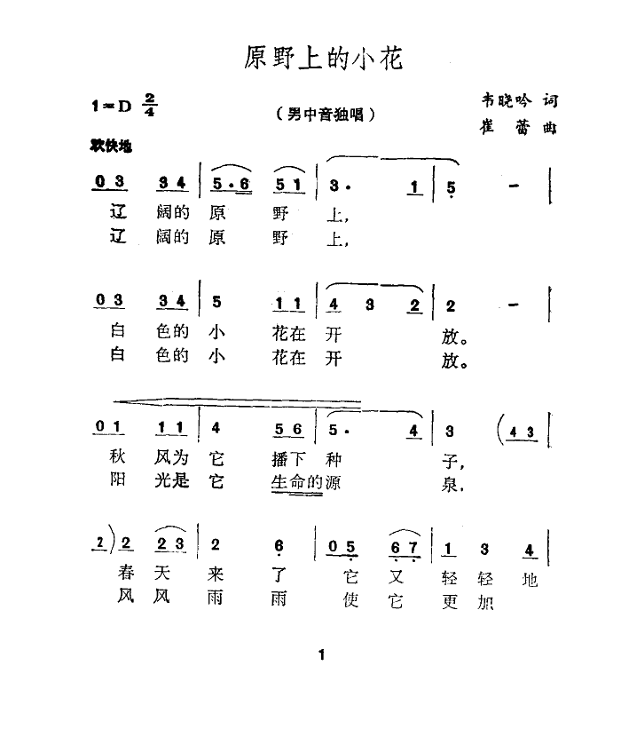 原野上的小花(崔蕾曲)