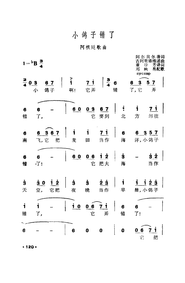 小鸽子错了