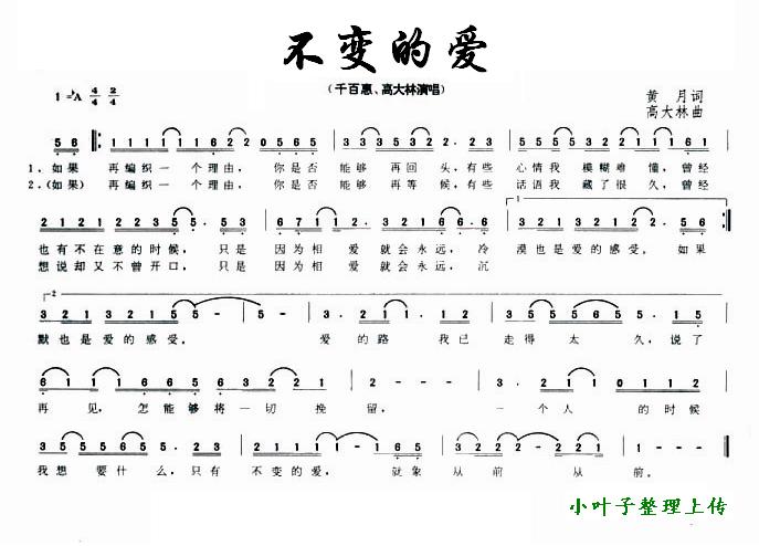 不变的爱