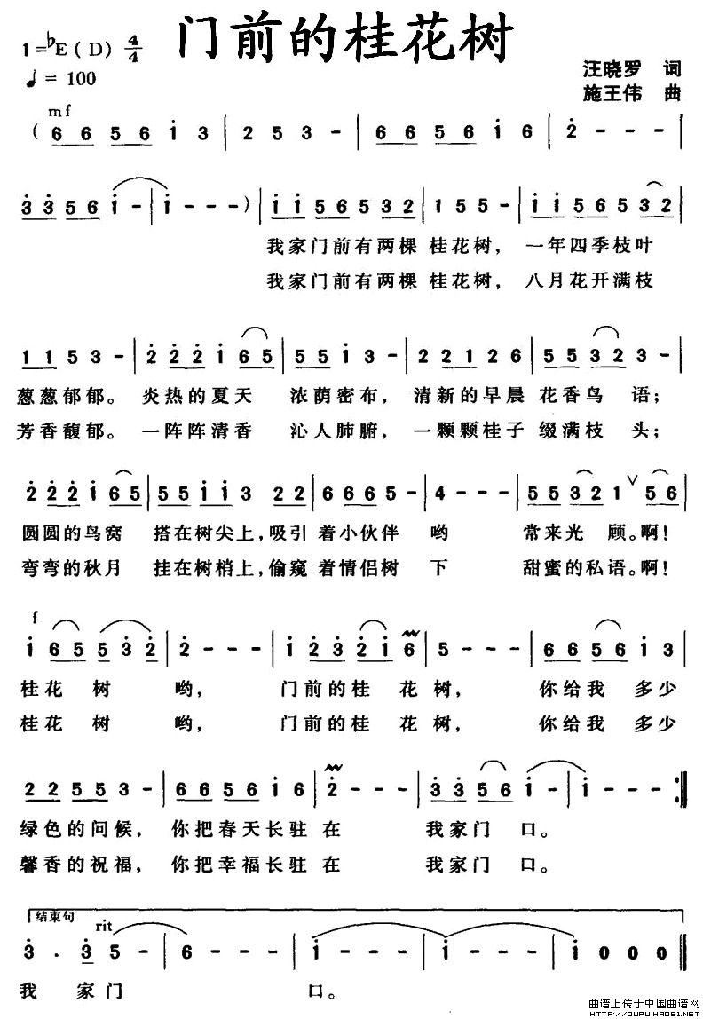 门前的桂花树