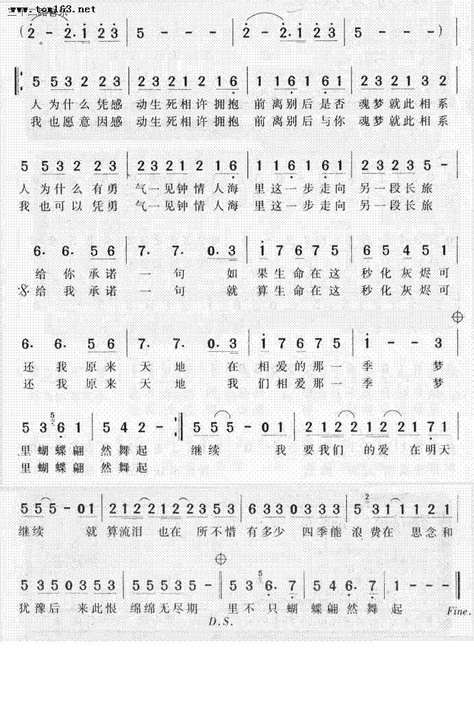 蝴蝶