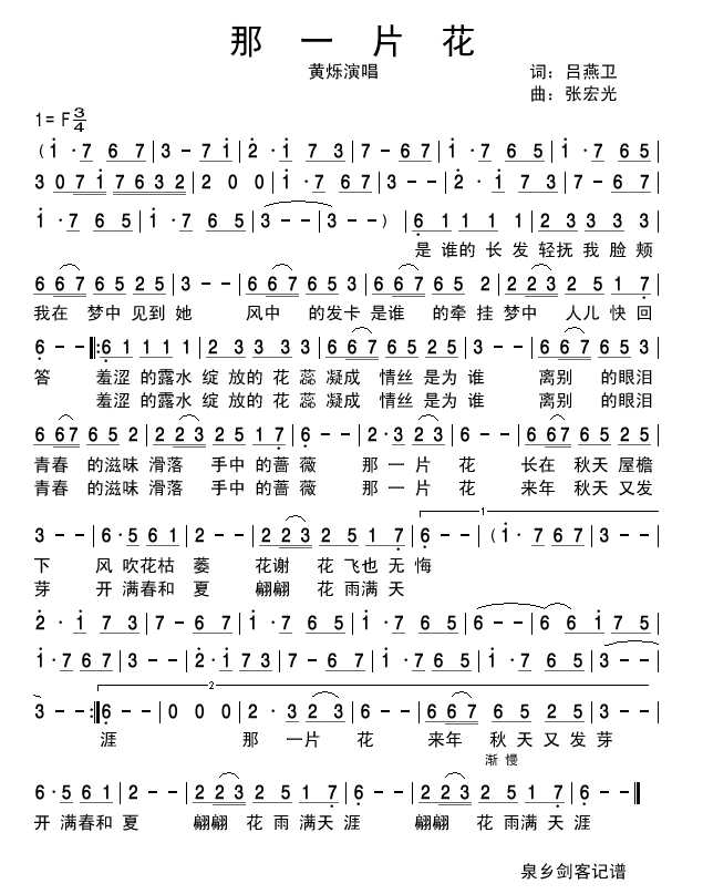 那一片花