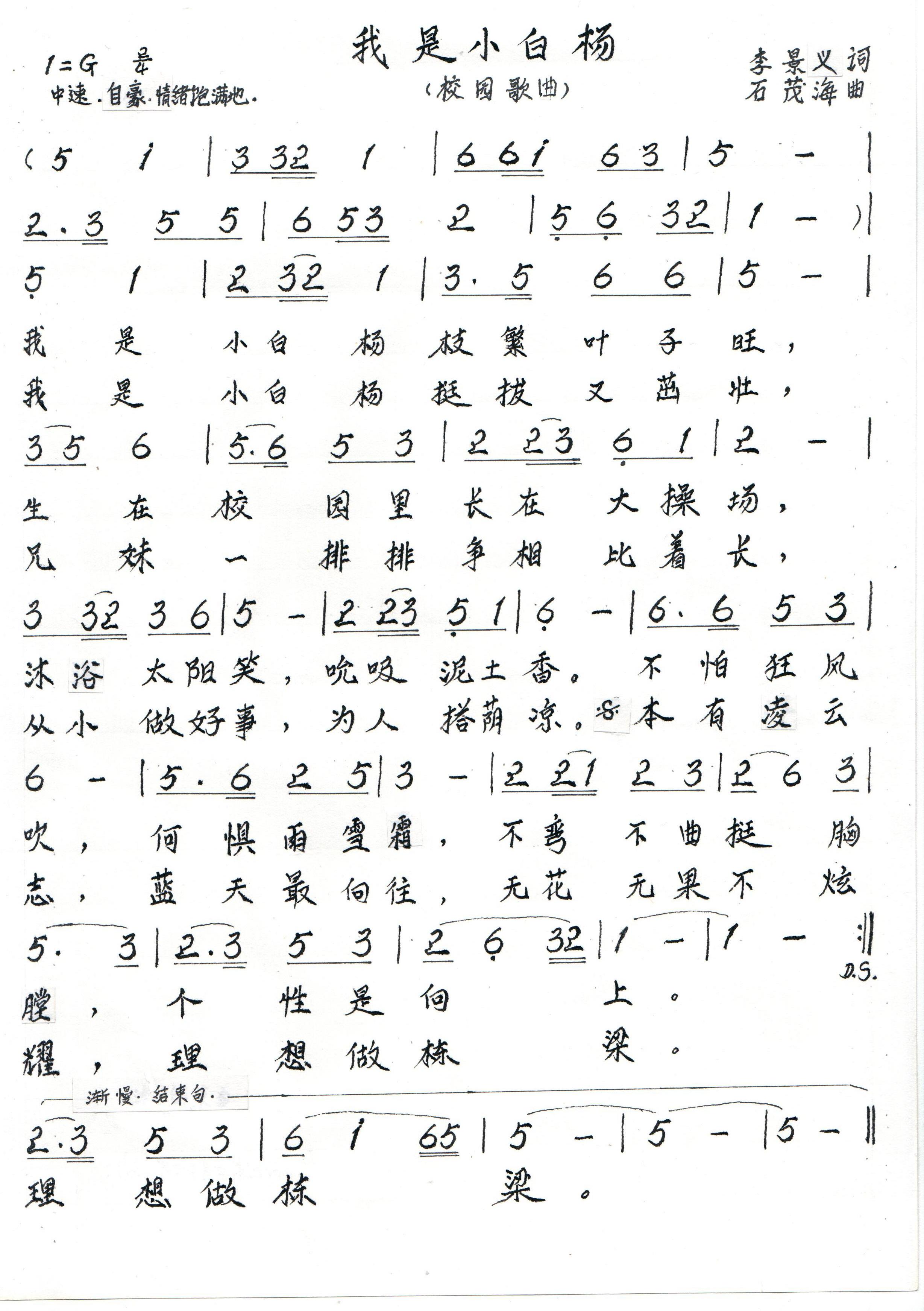 我是小白杨