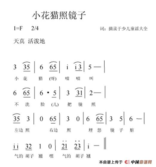 小花猫照镜子
