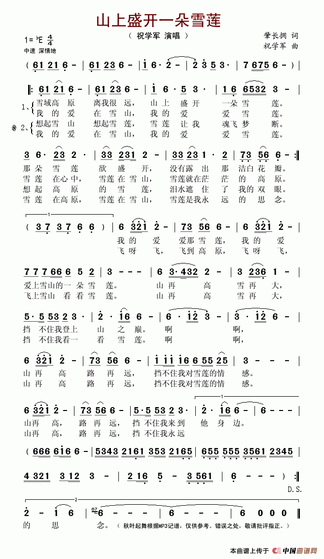 山上盛开一朵雪莲