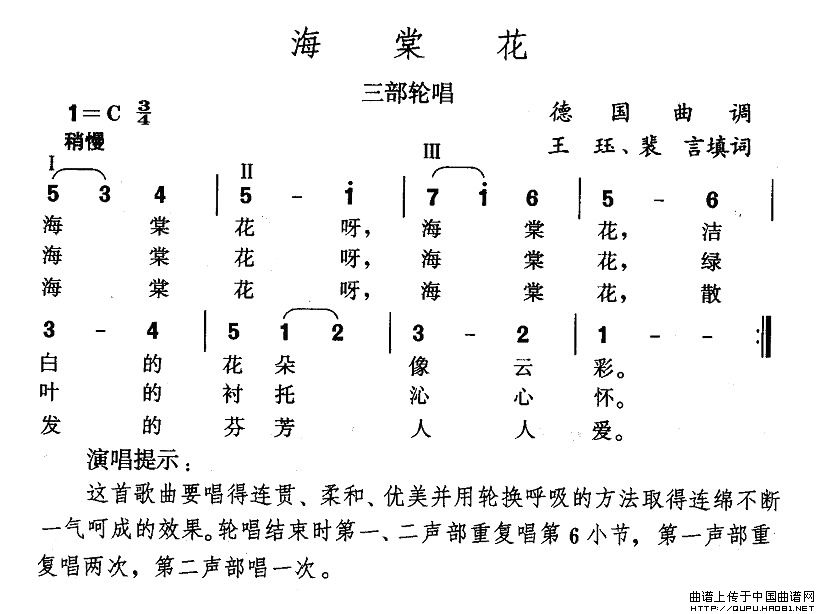 海棠花