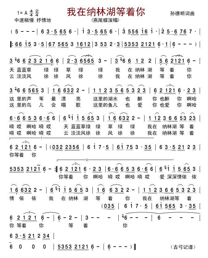 我在纳林湖等着你