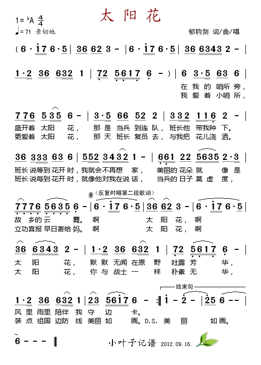 太阳花