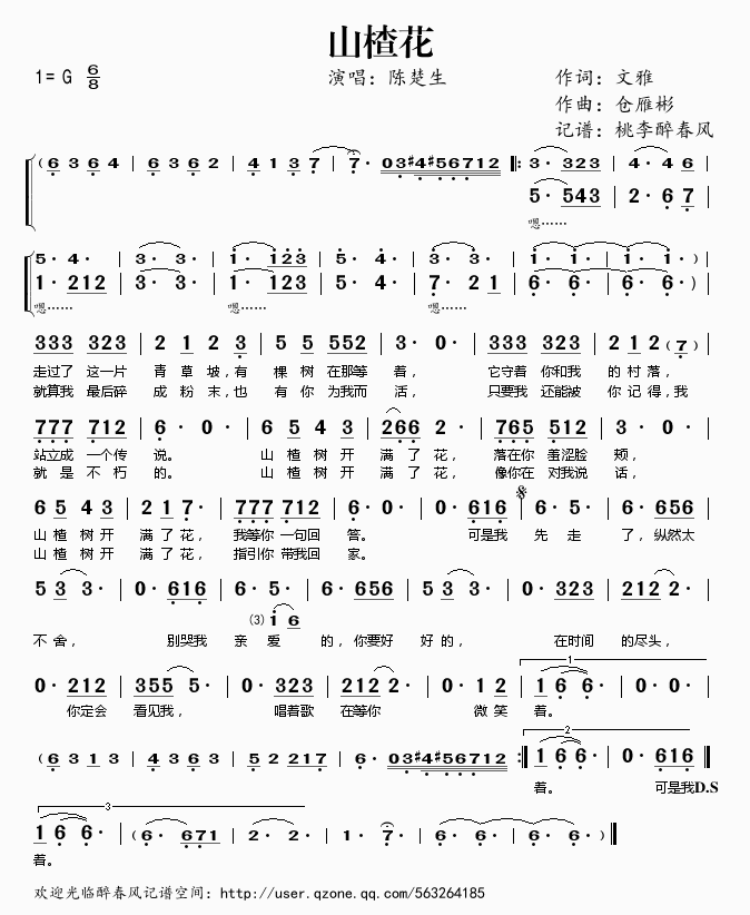 山楂花