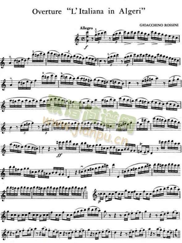 Overture “L’Italiana in Algeri”