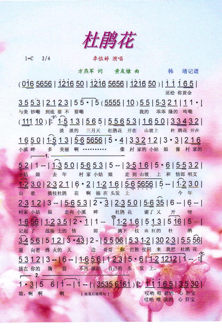 杜鹃花【彩谱】