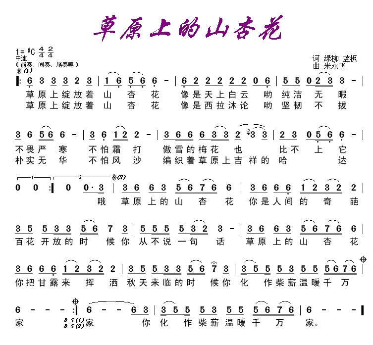 草原上的山杏花