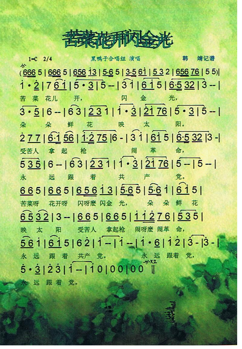 苦菜花开闪金光【彩谱】