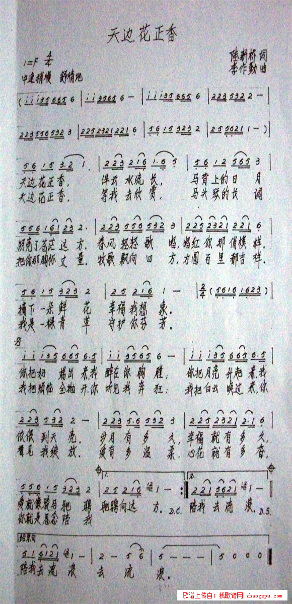 天边花正香