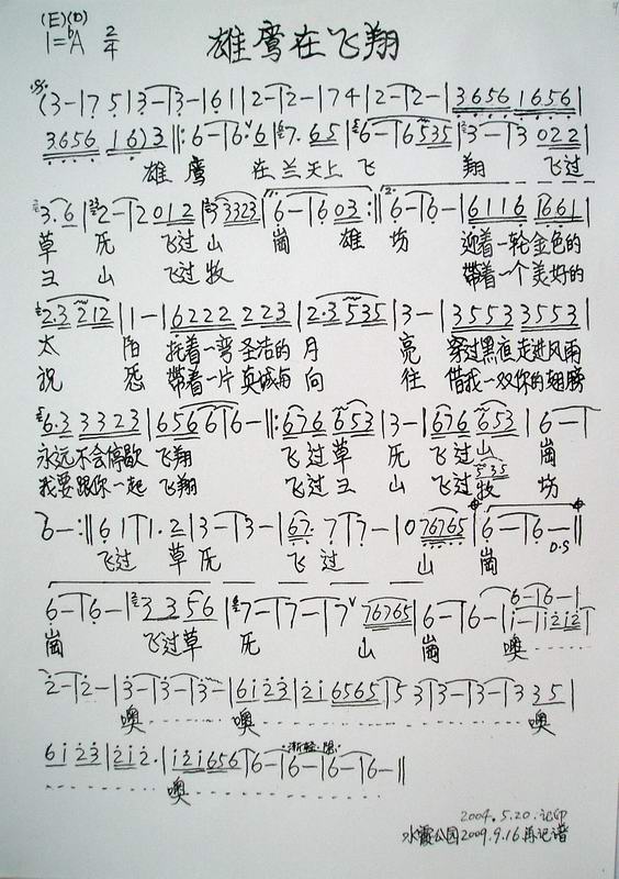 雄鹰在飞翔