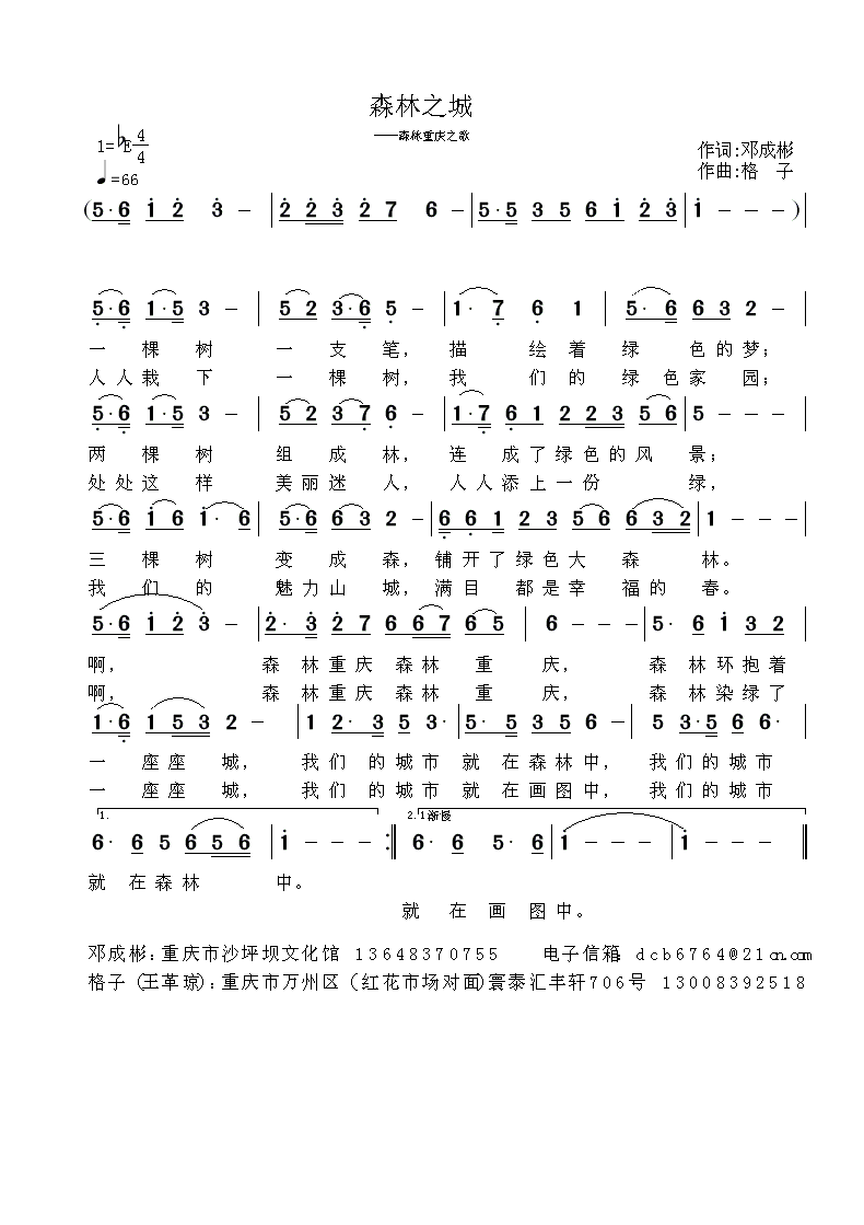 森林之城