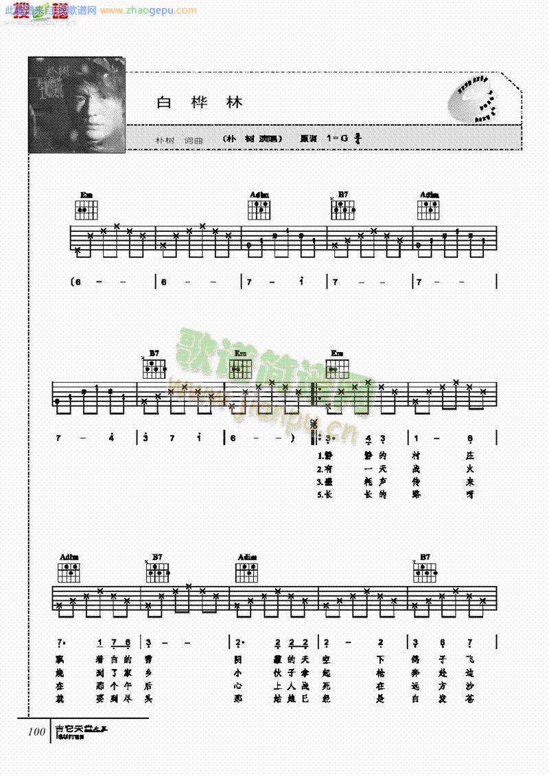 白桦林-弹唱