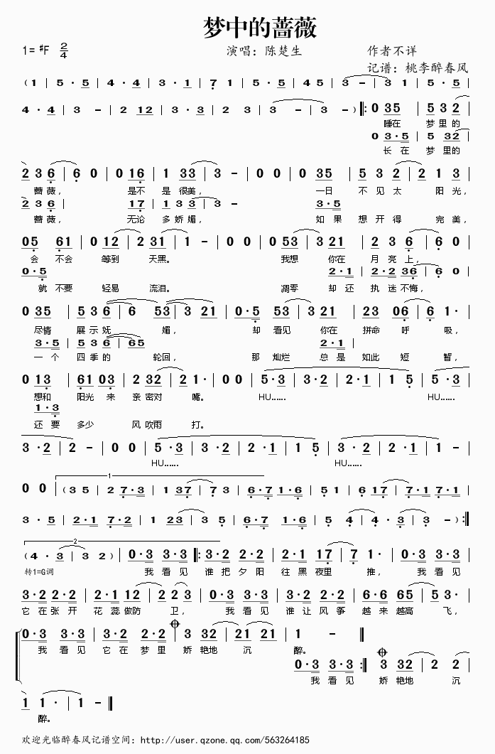梦中的蔷薇