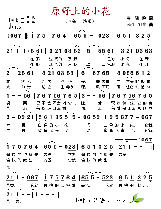 原野上的小花