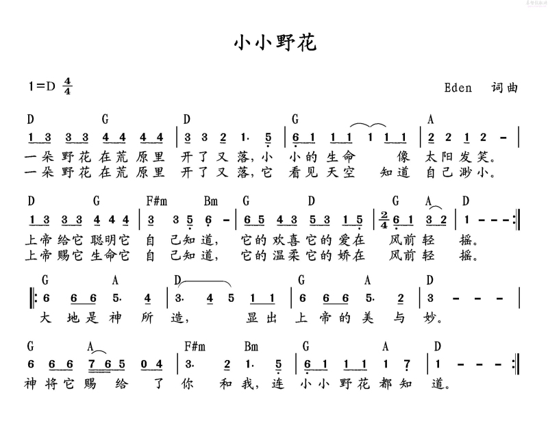 小小野花