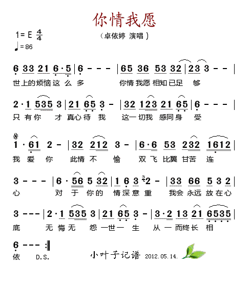 你情我愿
