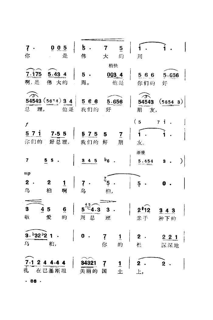 乌柏树下的怀念
