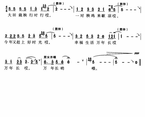 大田栽秧行对行
