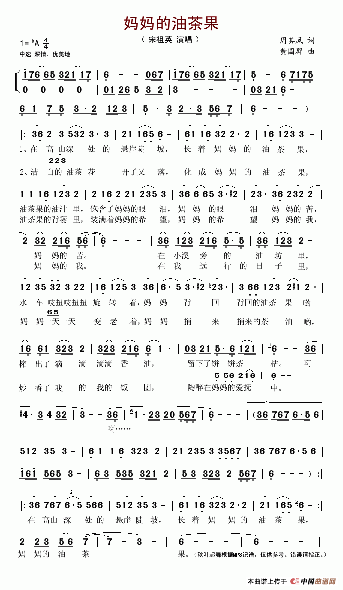 妈妈的油茶果