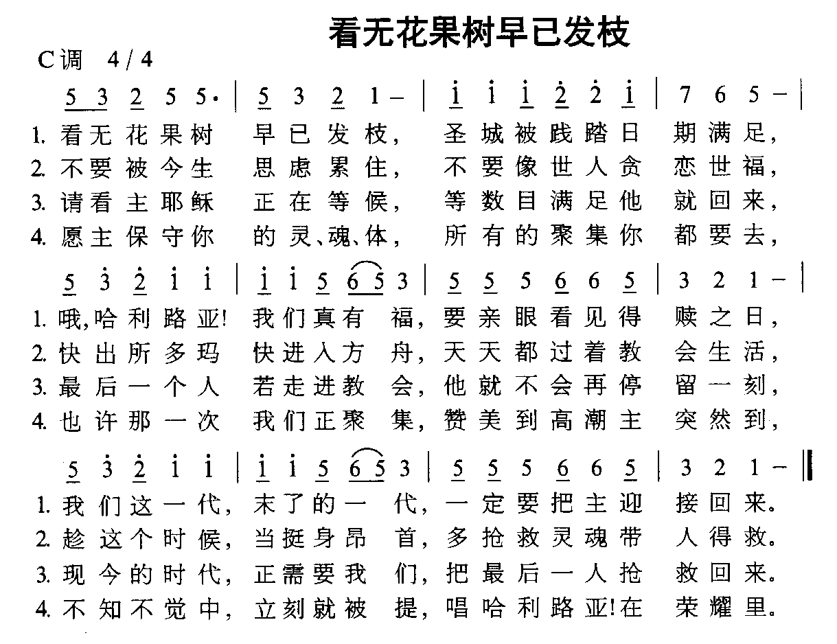 看无花果树早已发枝