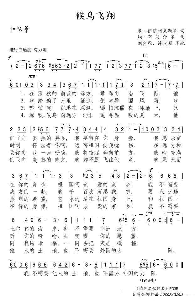 候鸟飞翔