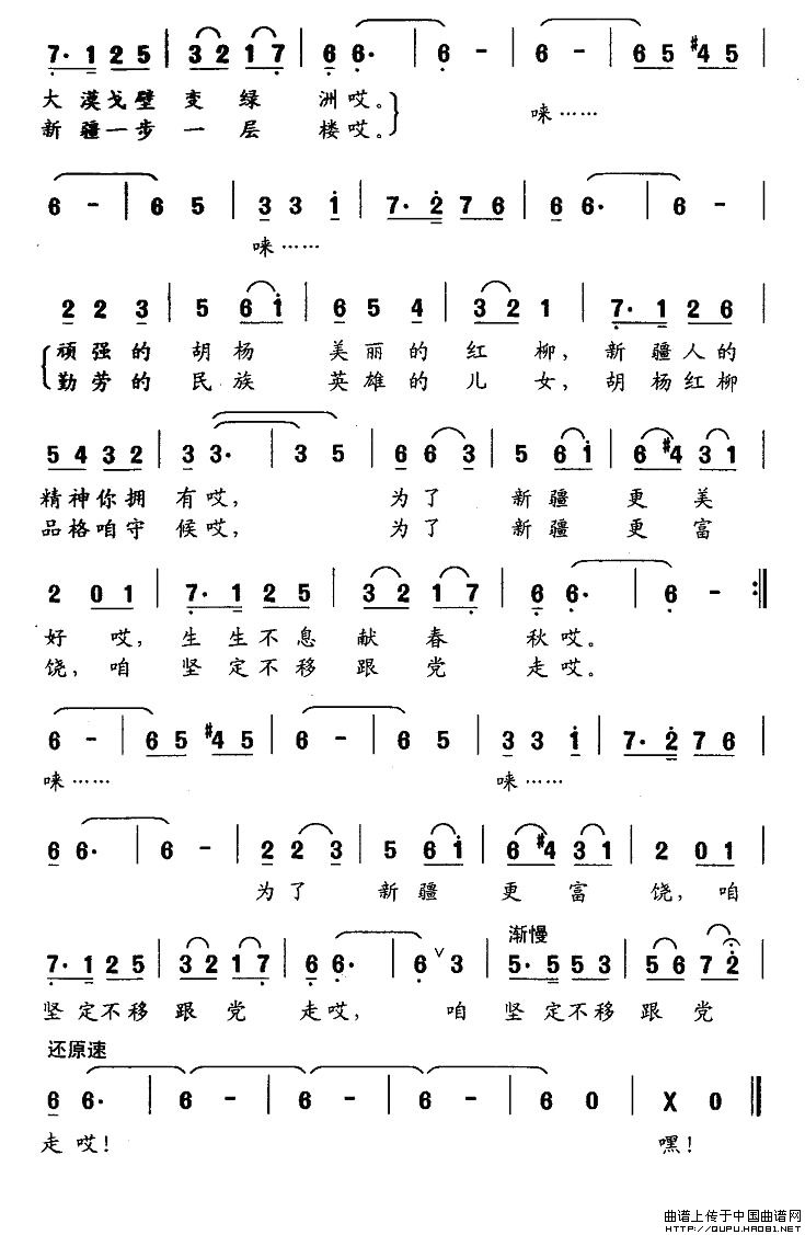 胡杨和红柳（2）