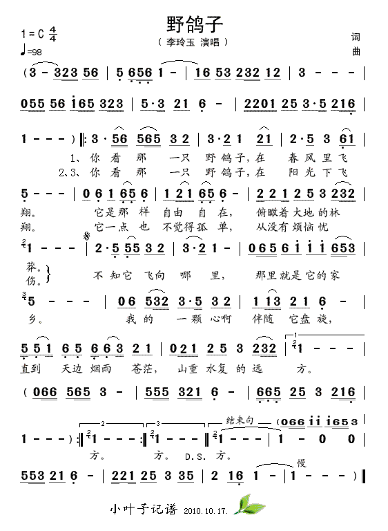 野鸽子