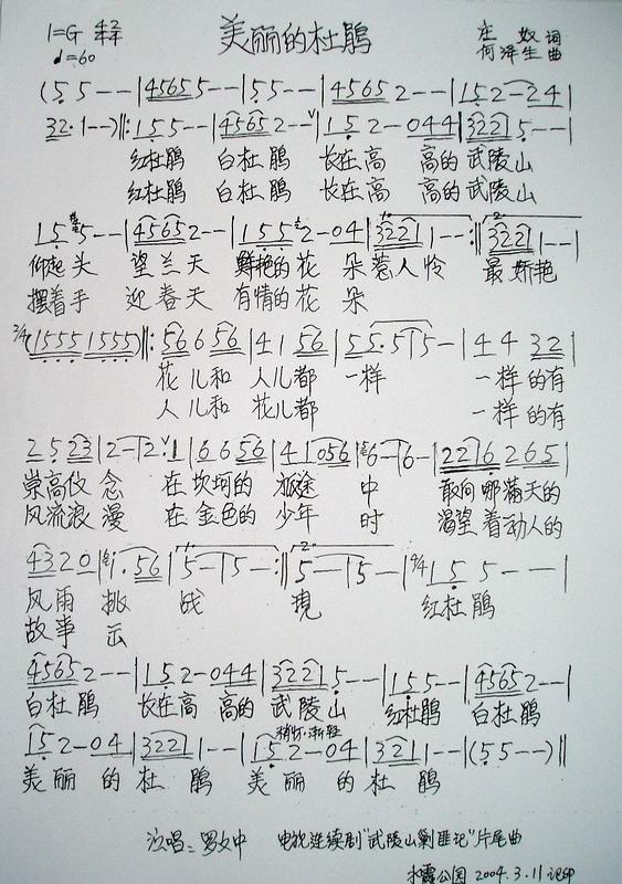 美丽的杜鹃