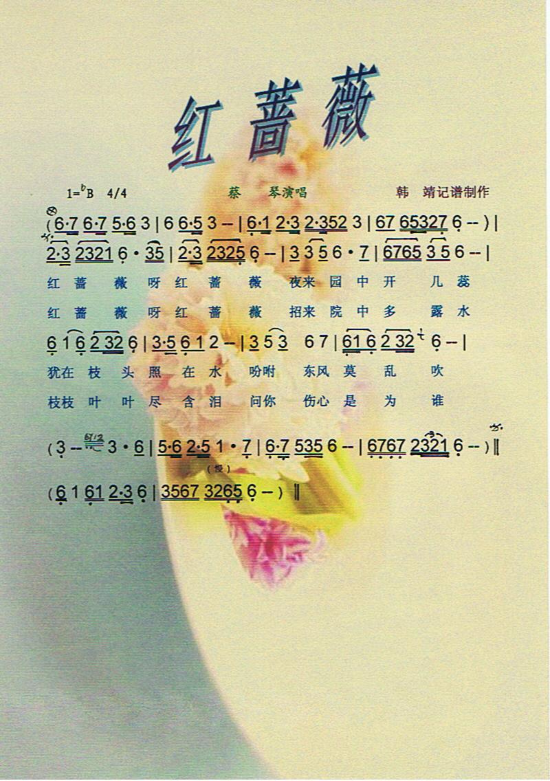 红蔷薇【彩谱】