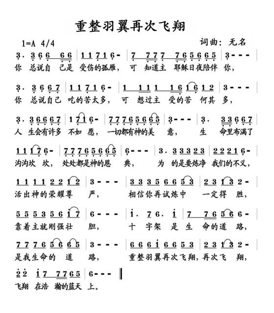 重整羽翼再次飞翔