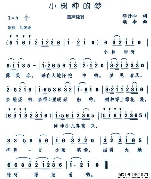 小树种的梦